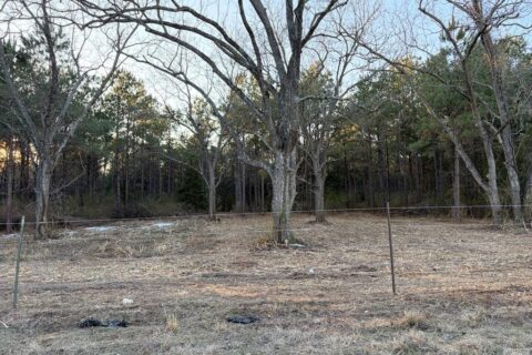 24 Acres in Hughes Springs TX | Utilities & FM 250 Access