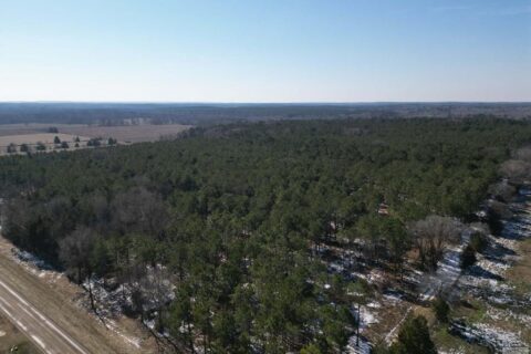 24 Acres in Hughes Springs TX | Utilities & FM 250 Access