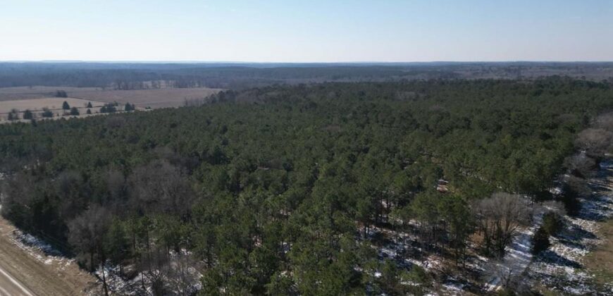24 Acres in Hughes Springs TX | Utilities & FM 250 Access