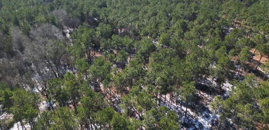 24 Acres in Hughes Springs TX | Utilities & FM 250 Access