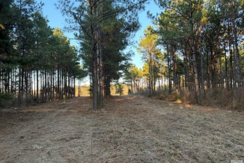 24 Acres in Hughes Springs TX | Utilities & FM 250 Access