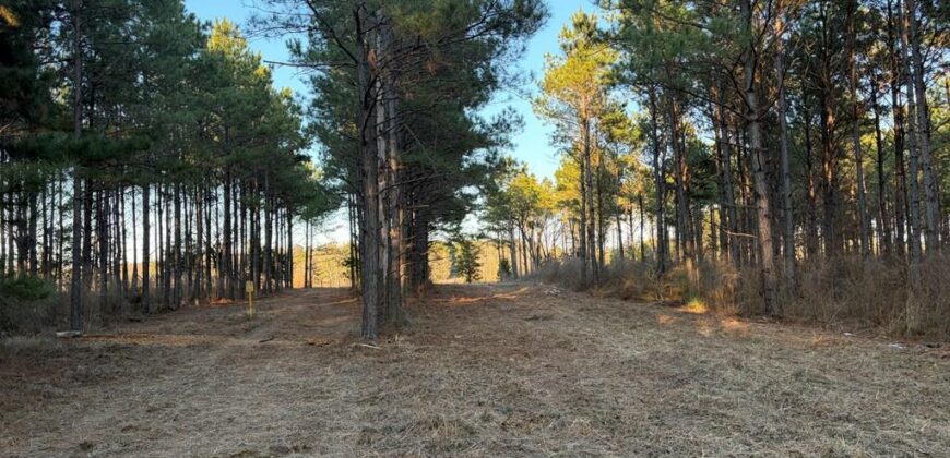 24 Acres in Hughes Springs TX | Utilities & FM 250 Access