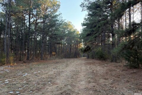 24 Acres in Hughes Springs TX | Utilities & FM 250 Access