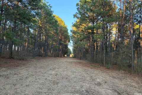 24 Acres in Hughes Springs TX | Utilities & FM 250 Access