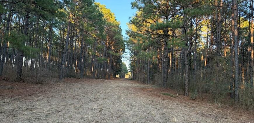 24 Acres in Hughes Springs TX | Utilities & FM 250 Access