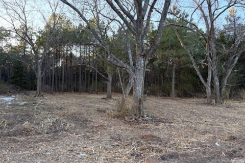 24 Acres in Hughes Springs TX | Utilities & FM 250 Access