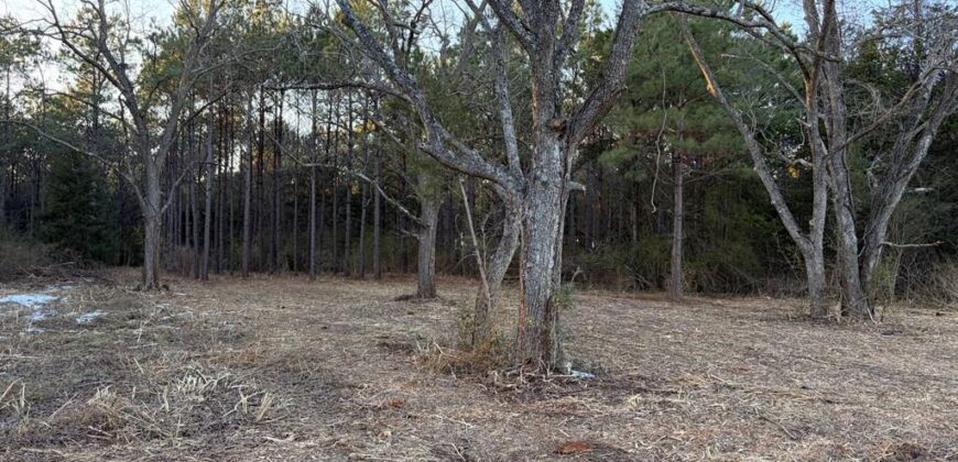24 Acres in Hughes Springs TX | Utilities & FM 250 Access