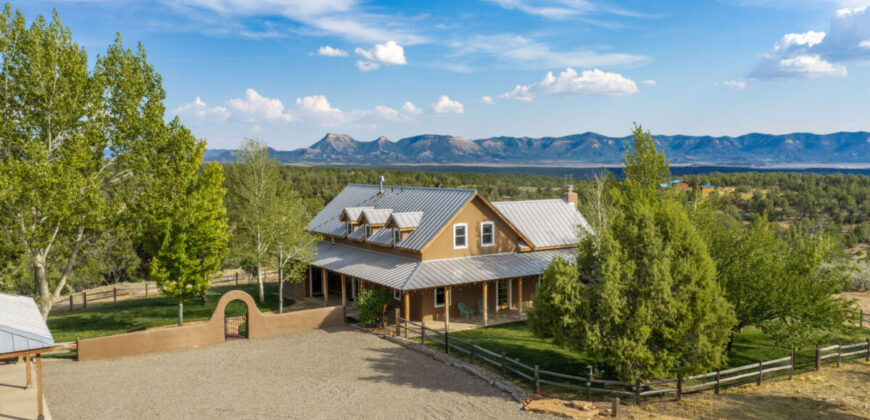 35 Acres, Privacy & Views! Dolores Dream Home | SW Colorado