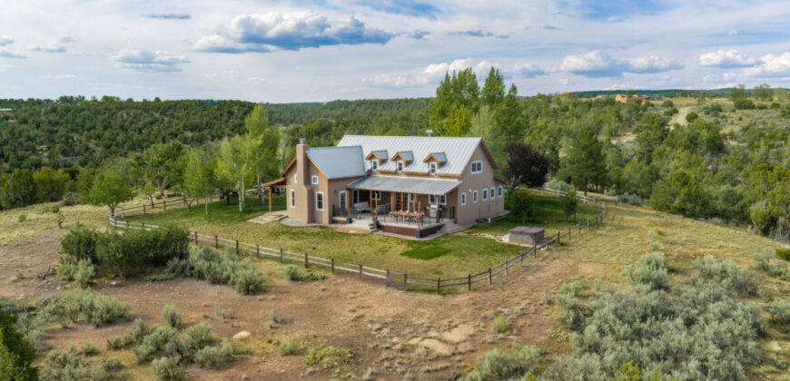 35 Acres, Privacy & Views! Dolores Dream Home | SW Colorado