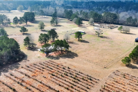 40 Acres Pike County MS Near I-55 Summit MS
