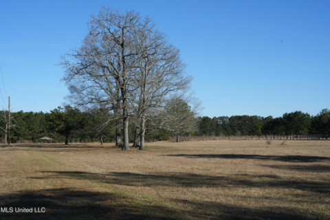 40 Acres Pike County MS Near I-55 Summit MS
