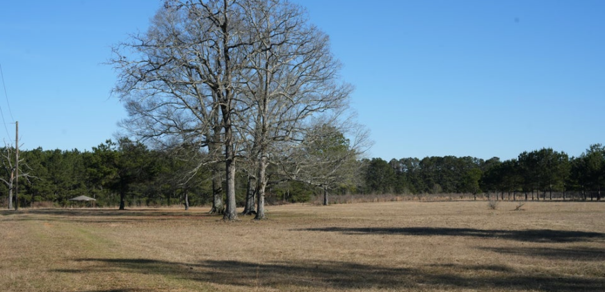 40 Acres Pike County MS Near I-55 Summit MS
