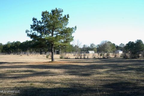 40 Acres Pike County MS Near I-55 Summit MS