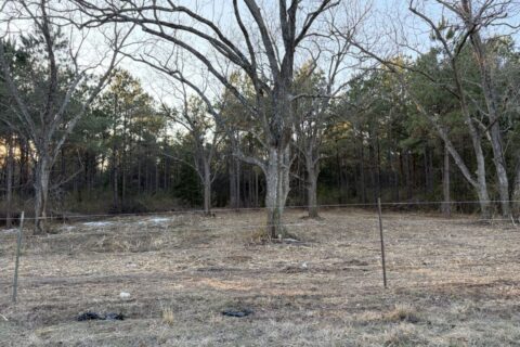 47.86 Acres in Hughes Springs TX | Utilities & FM 250 Access