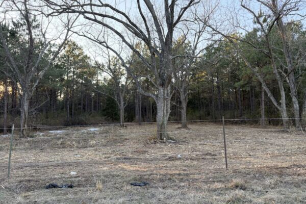 47.86 Acres in Hughes Springs TX | Utilities & FM 250 Access