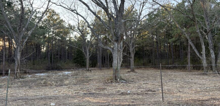 47.86 Acres in Hughes Springs TX | Utilities & FM 250 Access