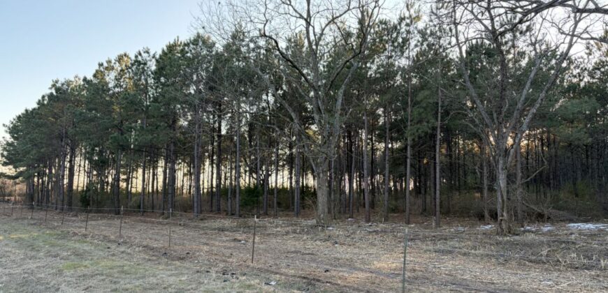 47.86 Acres in Hughes Springs TX | Utilities & FM 250 Access