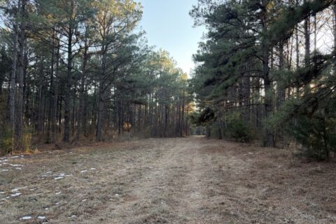 47.86 Acres in Hughes Springs TX | Utilities & FM 250 Access