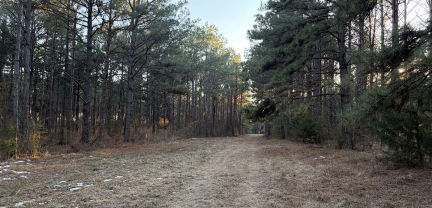 47.86 Acres in Hughes Springs TX | Utilities & FM 250 Access