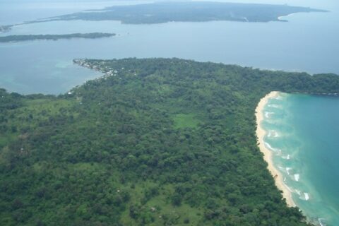 60-Acre Organic Farm for Sale on Bastimentos, Bocas del Toro