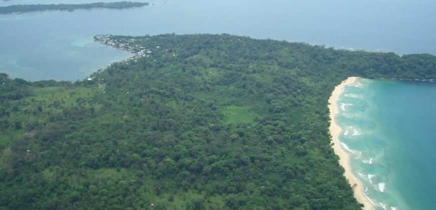 60-Acre Organic Farm for Sale on Bastimentos, Bocas del Toro