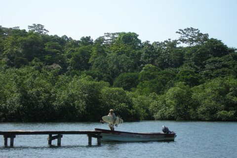 60-Acre Organic Farm for Sale on Bastimentos, Bocas del Toro
