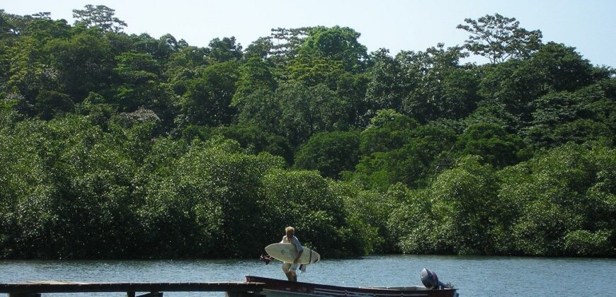 60-Acre Organic Farm for Sale on Bastimentos, Bocas del Toro