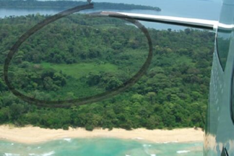 60-Acre Organic Farm for Sale on Bastimentos, Bocas del Toro