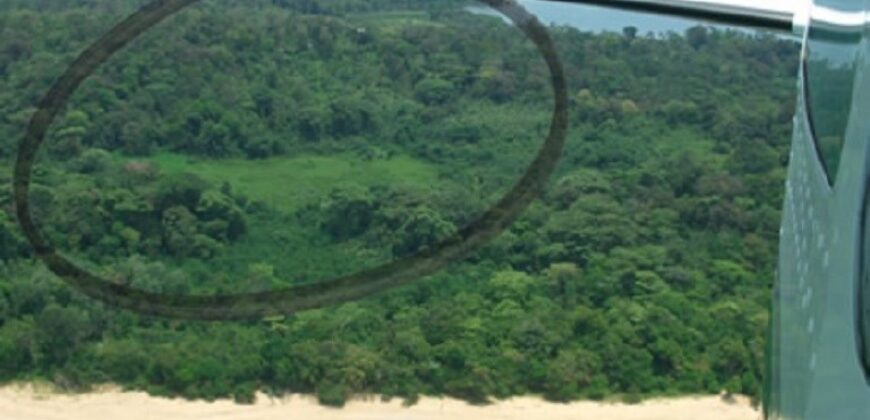 60-Acre Organic Farm for Sale on Bastimentos, Bocas del Toro