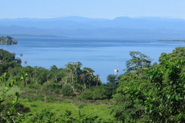 60-Acre Organic Farm for Sale on Bastimentos, Bocas del Toro