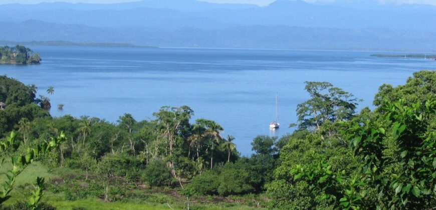 60-Acre Organic Farm for Sale on Bastimentos, Bocas del Toro