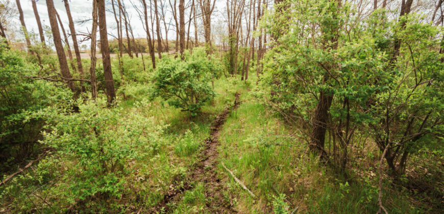 74 Acres in Dane County Town of York Rec, Hunting and Build Site