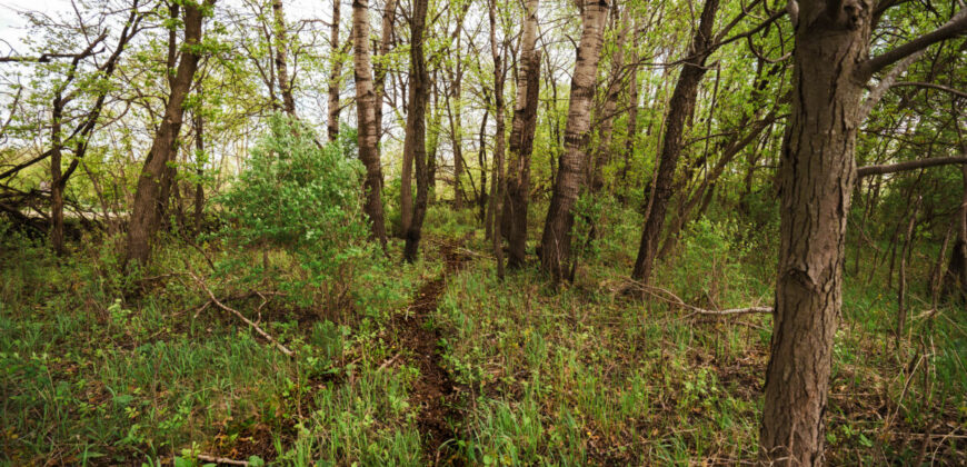 74 Acres in Dane County Town of York Rec, Hunting and Build Site