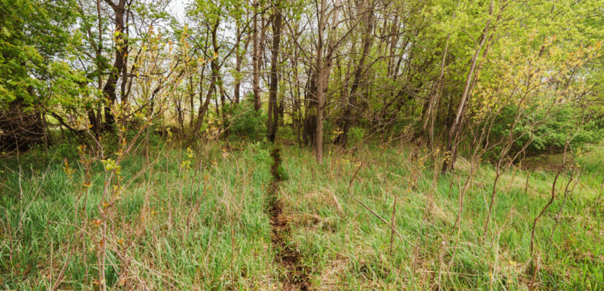 74 Acres in Dane County Town of York Rec, Hunting and Build Site