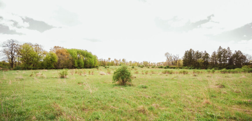 74 Acres in Dane County Town of York Rec, Hunting and Build Site