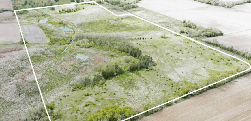74 Acres in Dane County Town of York Rec, Hunting and Build Site
