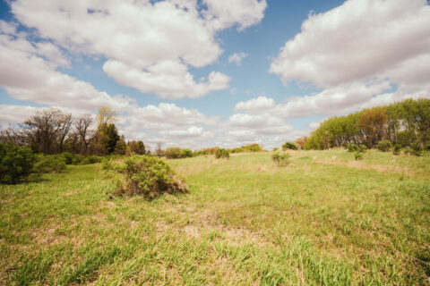 74 Acres in Dane County Town of York Rec, Hunting and Build Site