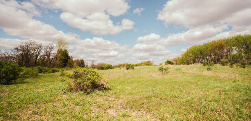 74 Acres in Dane County Town of York Rec, Hunting and Build Site