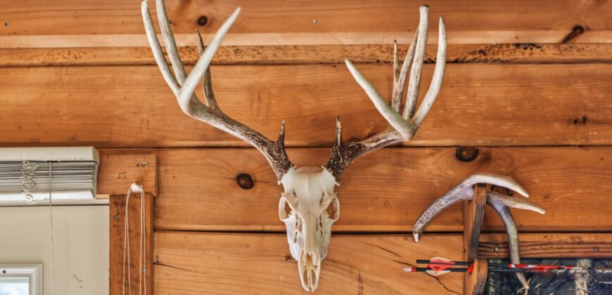 95.02-Acre Premier Whitetail Hunting Estate with Log Cabin, Pond