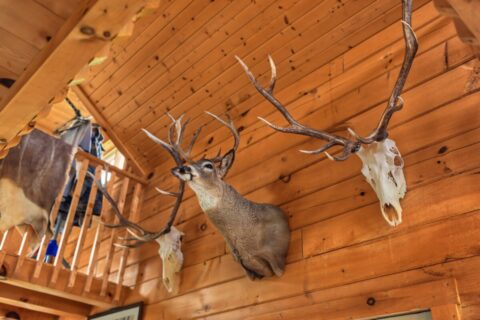 95.02-Acre Premier Whitetail Hunting Estate with Log Cabin, Pond