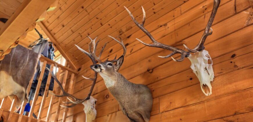 95.02-Acre Premier Whitetail Hunting Estate with Log Cabin, Pond