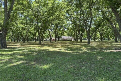Beautiful Homesite situated on 7.27 acres with mature pecan trees