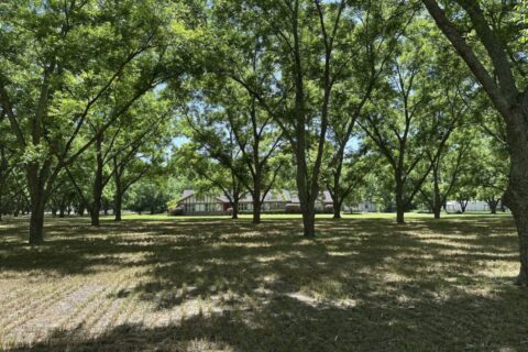 Beautiful Homesite situated on 7.27 acres with mature pecan trees