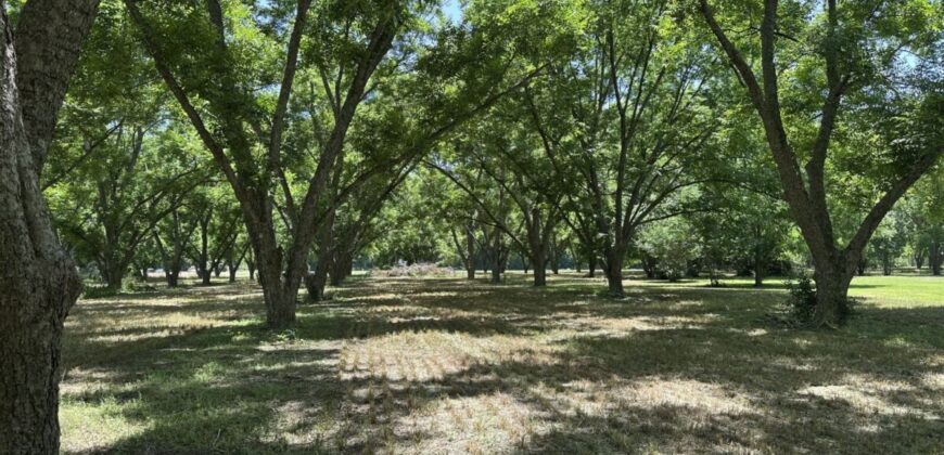 Beautiful Homesite situated on 7.27 acres with mature pecan trees