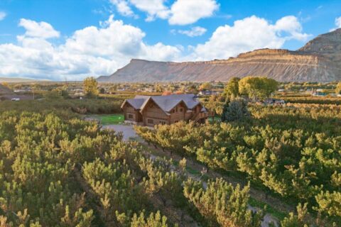 Colorado Log Home and Peach Orchard for sale broker Michael Krieg