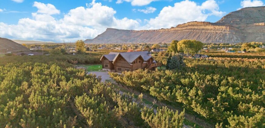 Colorado Log Home and Peach Orchard for sale broker Michael Krieg
