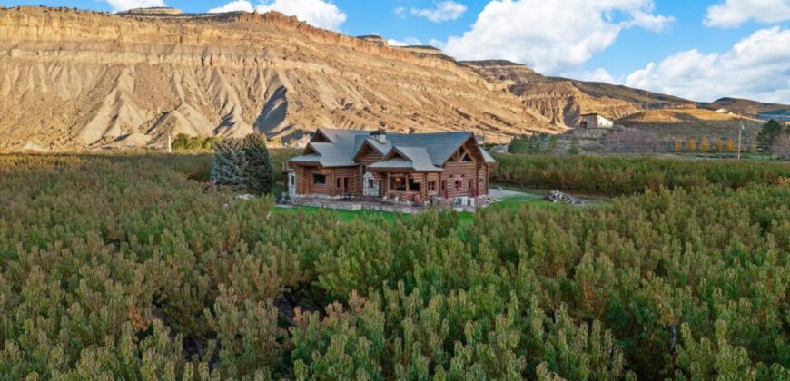Colorado Log Home and Peach Orchard for sale broker Michael Krieg