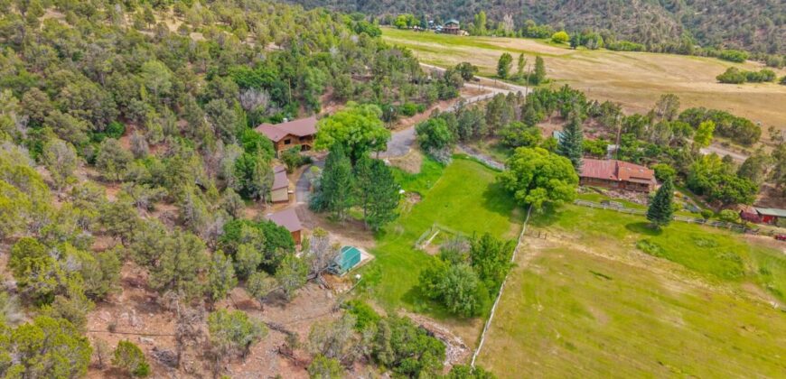 Colorado Log Home on 3.75 Acres For Sale with Pond, Orchard