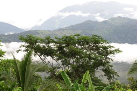 Costa Rica Organic farm Luxury Homes for sale