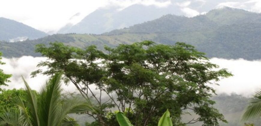 Costa Rica Organic farm Luxury Homes for sale